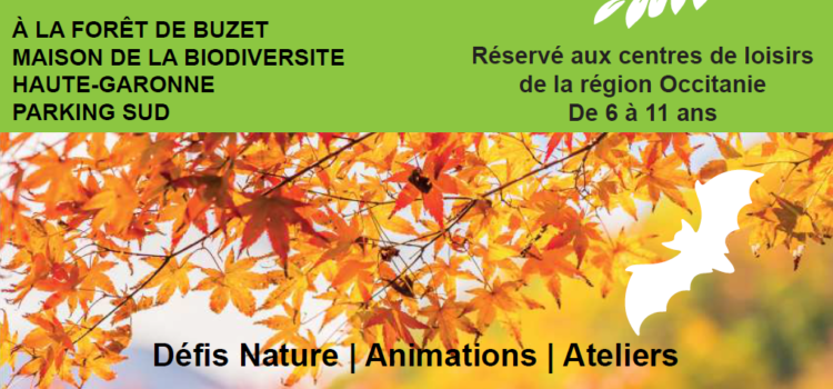 Journée du Loisir Nature 2022 – 27/10 – Forêt de Buzet (31)