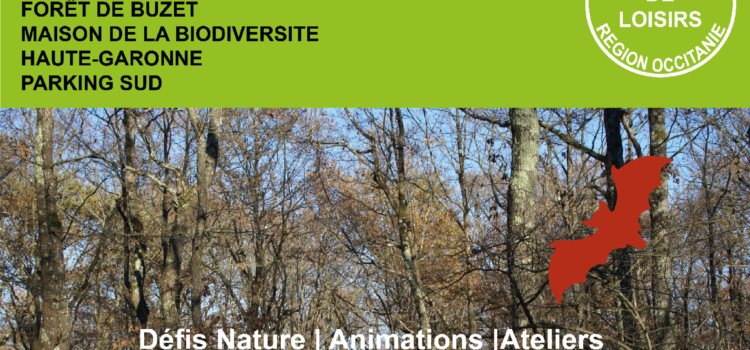 Journée du Loisir Nature 2023 – 27/10 – Forêt de Buzet (31)
